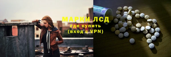 хмурый Нефтекумск