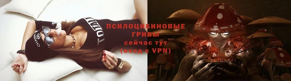 эйфоретик Алзамай