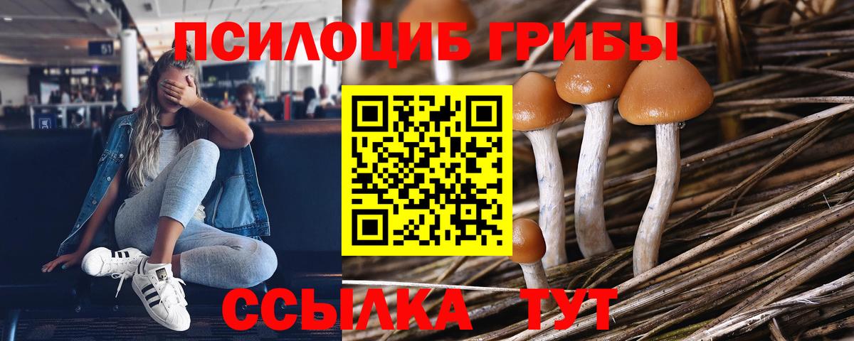 Галлюциногенные грибы прущие грибы Ржев