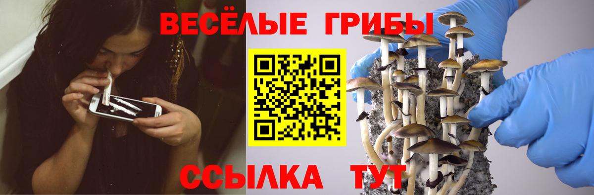 Галлюциногенные грибы MAGIC MUSHROOMS  Вход с VPN  Галлюциногенные грибы Cubensis  Ржев 