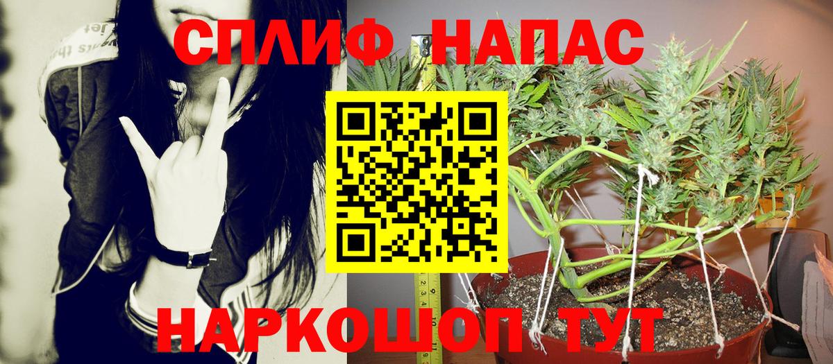 Бошки марихуана сатива Ржев